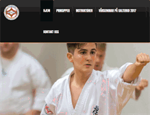 Tablet Screenshot of kampsportlaget.com